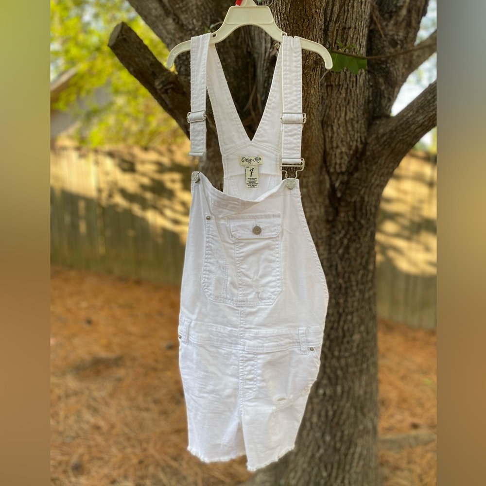Indigo Rein Overalls